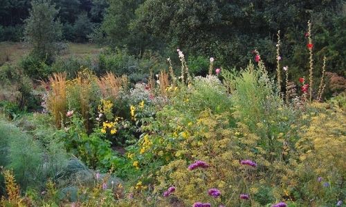 Naturalistic Gardens Service in Chennai_